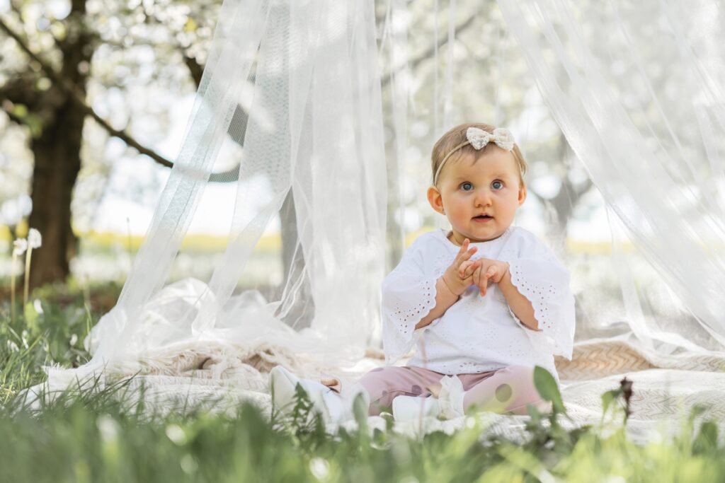 jpeg-optimizer_LVT_032